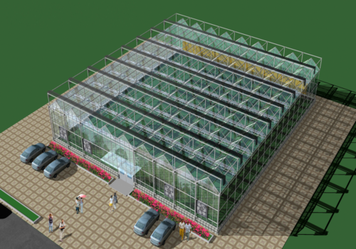 温室大棚如何建设 温室大棚的建设技巧