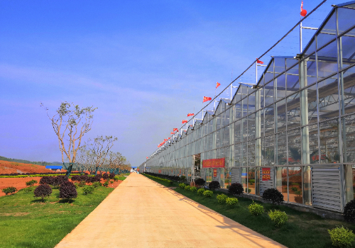 1000 square meters of glass greenhouse cost