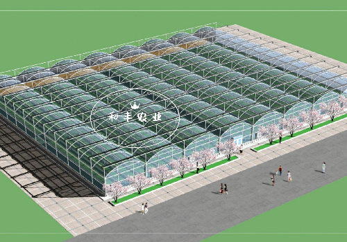 简易薄膜连栋温室大棚建设标准介绍