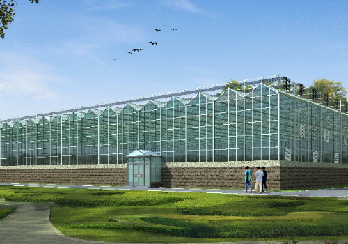 智能蔬菜温室大棚建设
