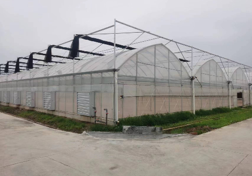 邱村镇建造绿色蔬菜高标准大棚建设项目