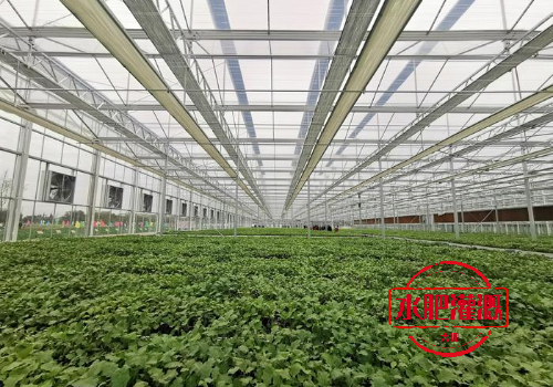 蔬菜大棚水肥一体化体系厂家