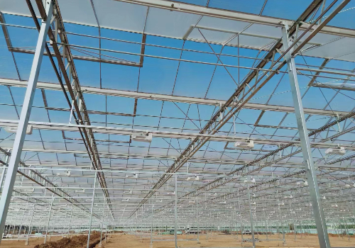 建设温室大棚需要具备哪些条件？
