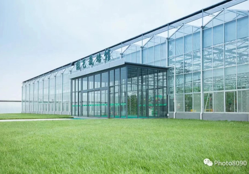 【蔬菜大棚建设】让质量与品质并存，从源头做起！