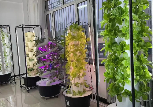蔬菜无土栽培设备厂家