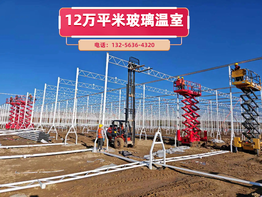 山东寿光玻璃温室大棚建设