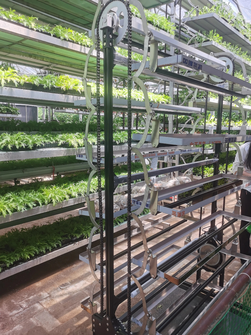 旋转立体蔬菜种植机、寿光菜博会旋转种植机、垂直旋转无土栽培、蔬菜摩天轮、立体水培种植塔