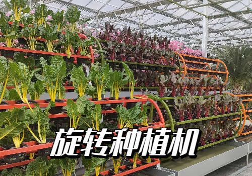 旋转立体栽培种植机厂家｜智能无土栽培设备定制