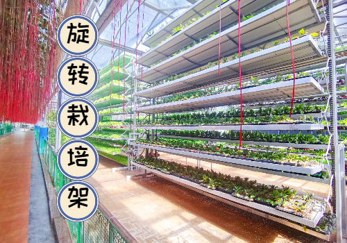 立体旋转种植架_链式循环无土栽培系统_温室专用现代农业设备厂家