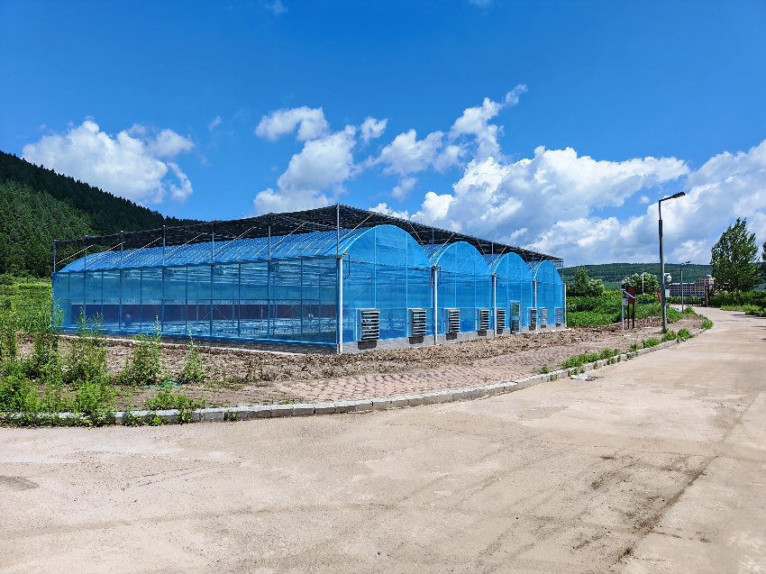 薄膜连栋温室大棚实景，热镀锌温室骨架厂家，大棚骨架出口加工