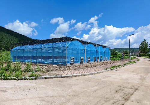 全国薄膜连栋温室大棚建设厂家，自有骨架厂支持大棚骨架定制出口加工