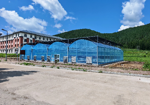 薄膜连栋温室大棚骨架厂家，可全国施工，支持大棚骨架定制出口