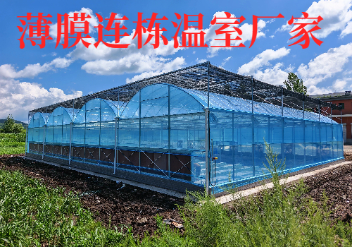 寿光温室厂家｜玻璃温室设计智能大棚建设无土栽培设备大棚造价